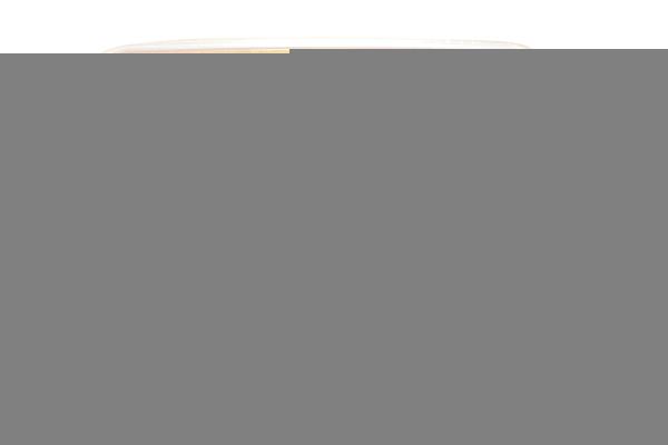 BENZAR RAPID METHOD PELLET MÉZ&ANANÁSZ 3,5MM 600GR