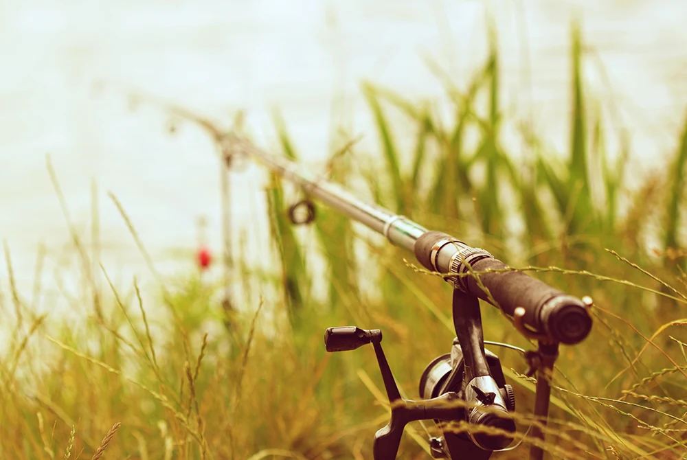 PK Fish Racing - Horgászbotok