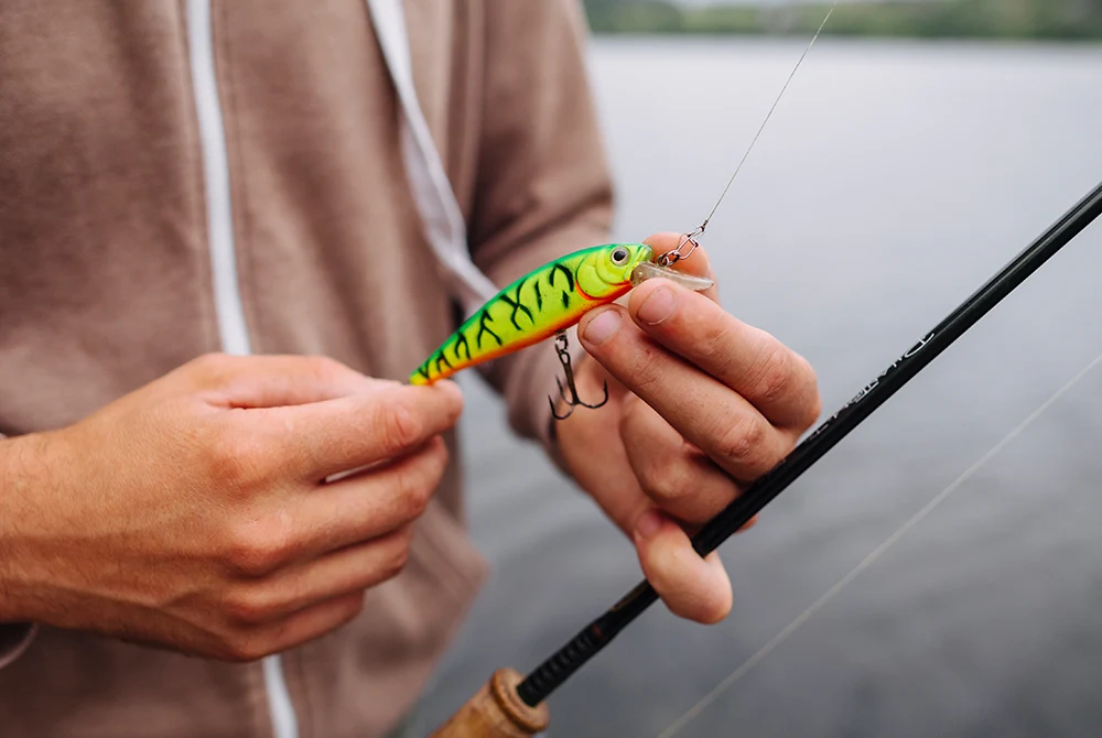 PK Fish Racing - Csalizás, etetés